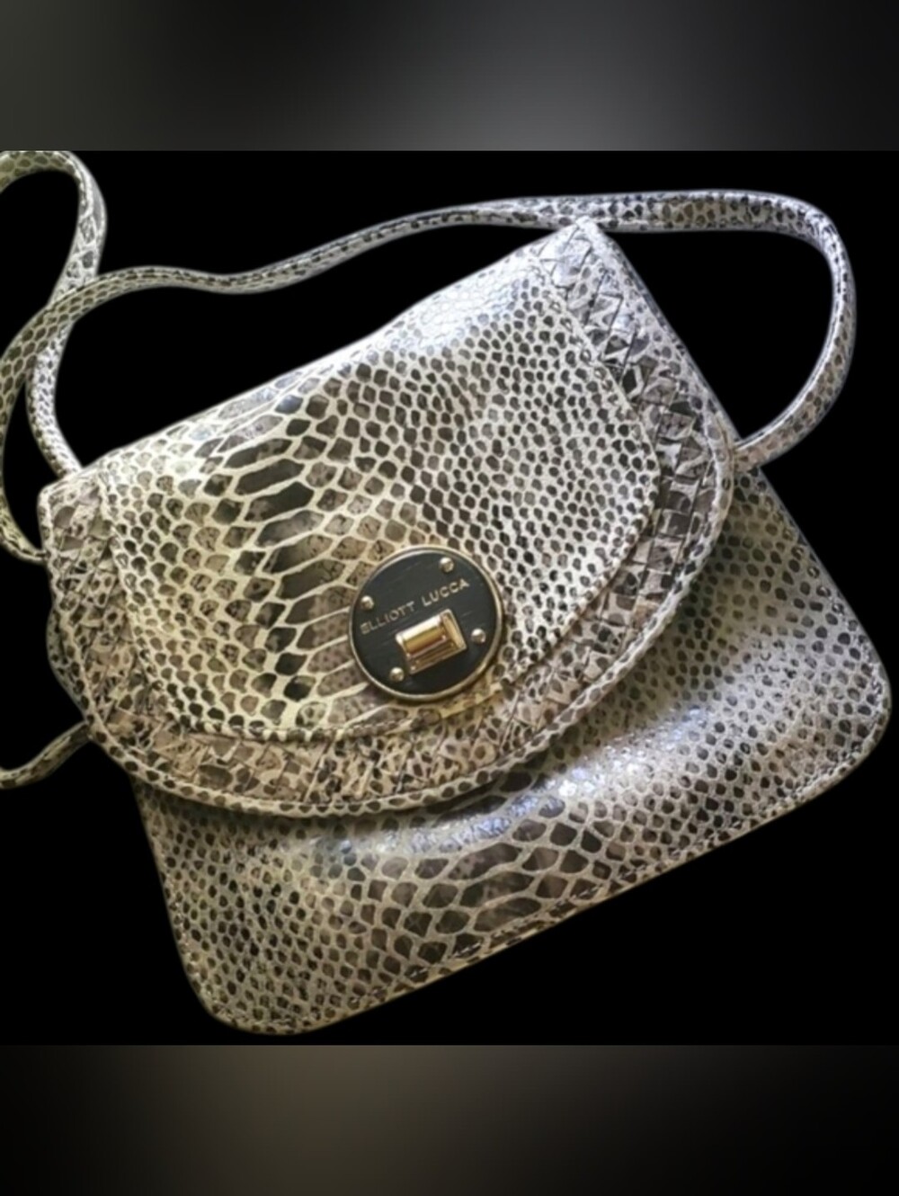 Leather Crossbody with  a Snake-Print Finish